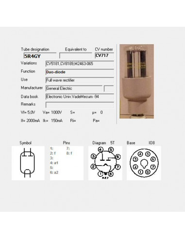 5R4GY screenshot van TubeData