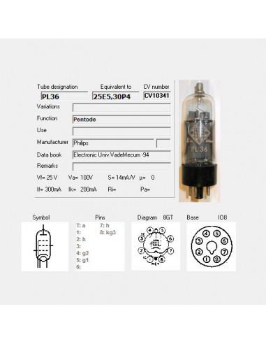 PL36 capture d'écran de TubeData